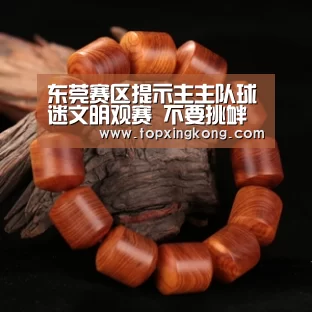 东莞赛区提示主主队球迷文明观赛 不要挑衅滋事-星空电竞(图1) 星空娱乐