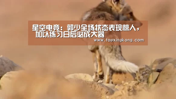 星空娱乐